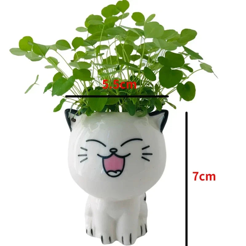 1pc Ceramic Cartoon Cat Flowerpot